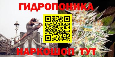 каннабис Гусев