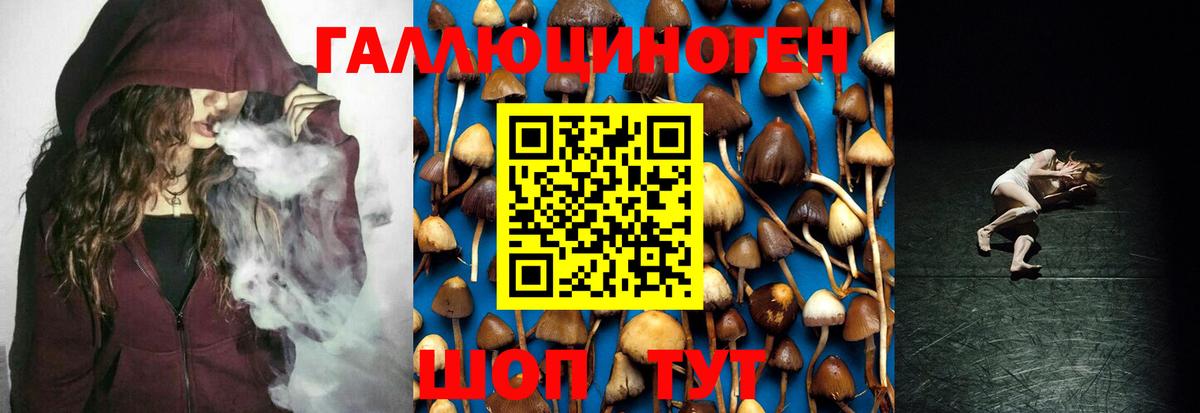 Павловский Посад  Галлюциногенные грибы Cubensis  Вход с VPN 