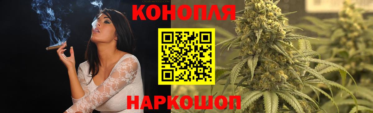 Шишки марихуана конопля Павловский Посад